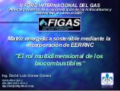 El rol multidimensional de los biocombustibles_Daniel_Gomez_FIGAS2013