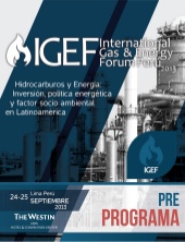 Programa IGEF Perú 2013