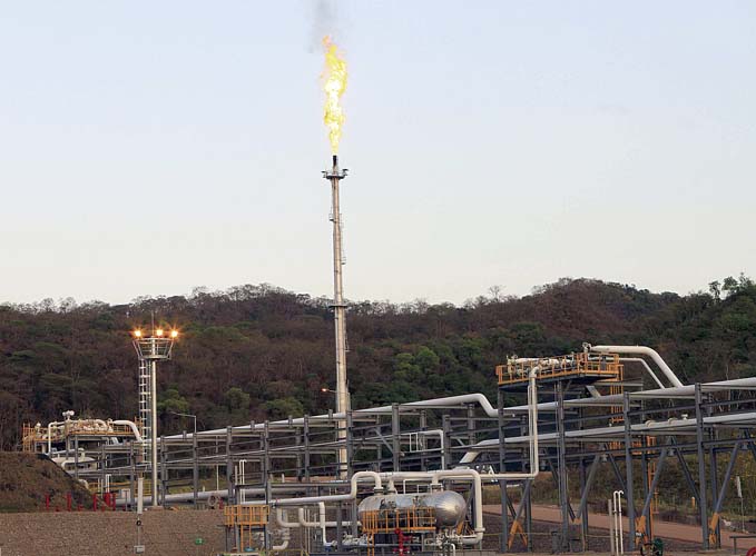Planta Incahuasi - RE 185